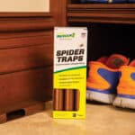 spider-traps