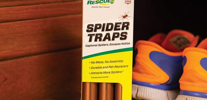 Pet-Resistant Spider Traps