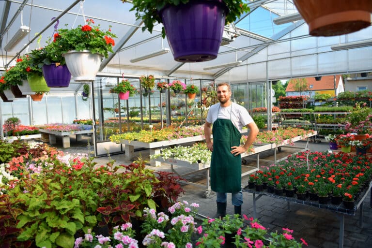 happy worker growing flowers in a greenhouse of a flower shop