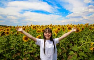 Little girl in sunflowers field