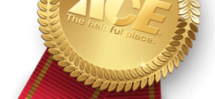 ­­­­­­­­­­­­­ACE HARDWARE RANKS #5 ON FRANCHISE TIMES’ TOP 400 LIST