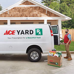 Ace Yard RX