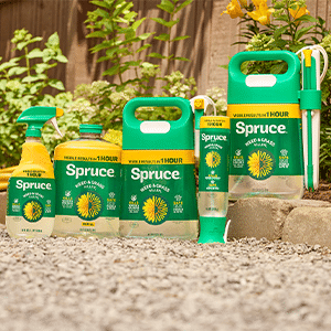 WEED AND GRASS KILLER