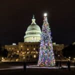 US CAPITOL CHRISTMAS TREE ARROW
