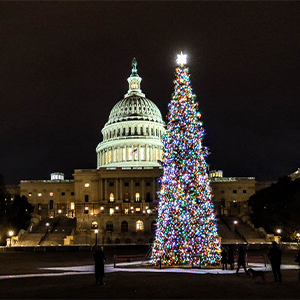 US Capitol Xmas Tree